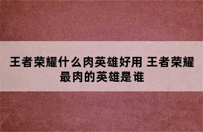 王者荣耀什么肉英雄好用 王者荣耀最肉的英雄是谁